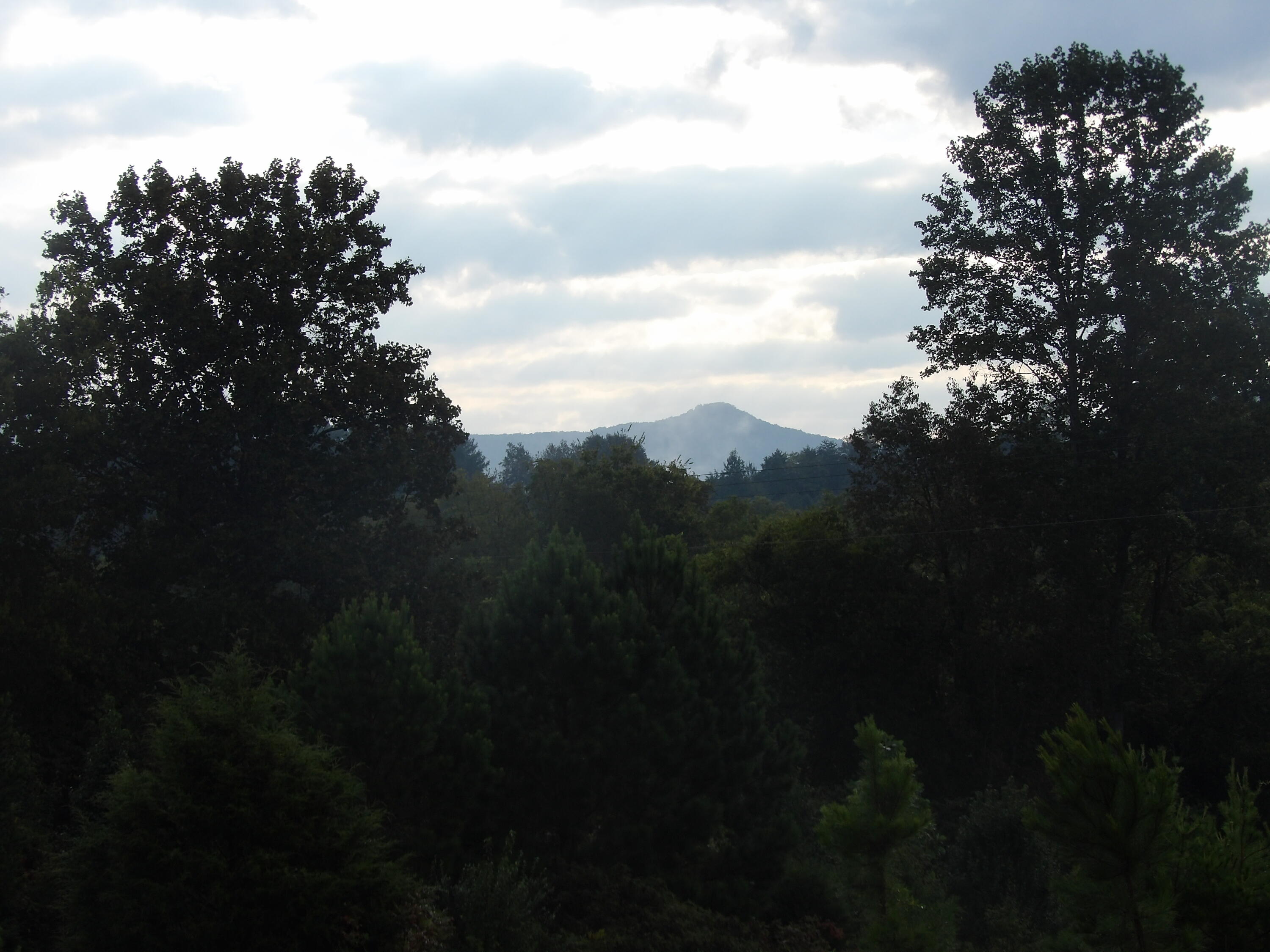 Lot 43 Meadow Vw Road, Unit 43 Pikeville, TN 37367 - Photo 20 of 25 100_1916