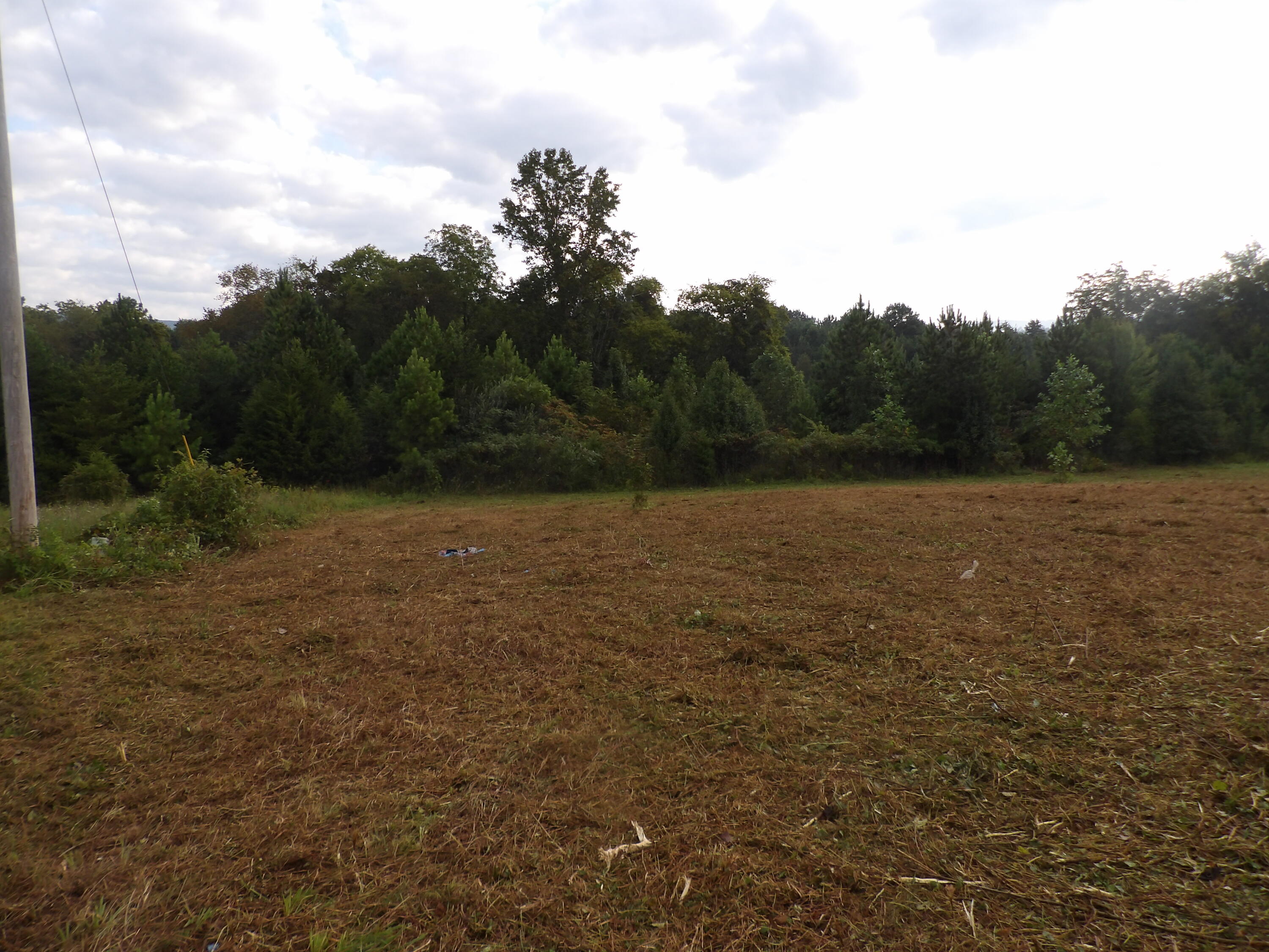 Lot 43 Meadow Vw Road, Unit 43 Pikeville, TN 37367 - Photo 2 of 25 100_1921