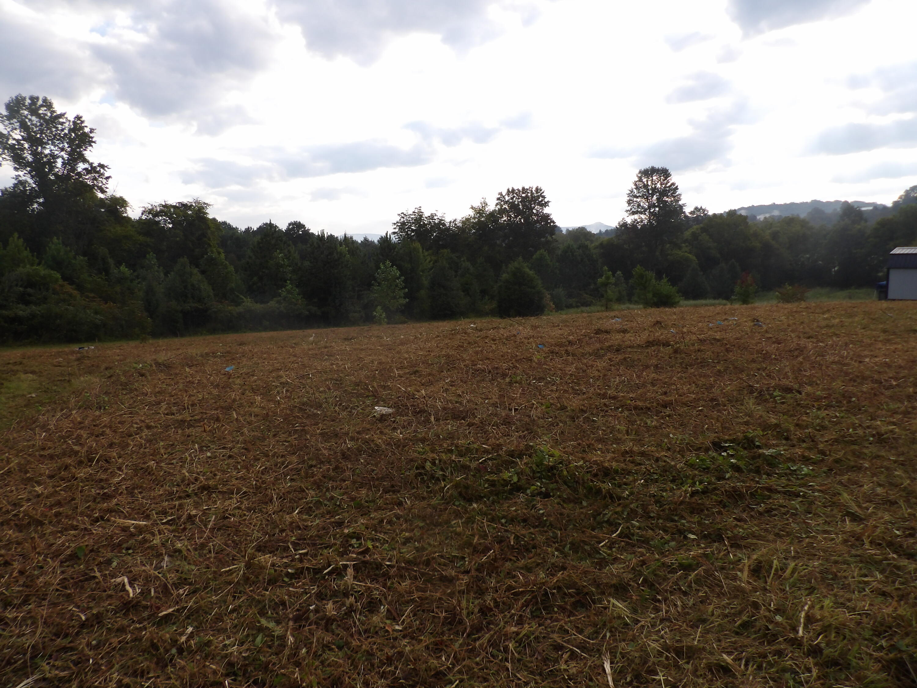 Lot 43 Meadow Vw Road, Unit 43 Pikeville, TN 37367 - Photo 21 of 25 100_1918