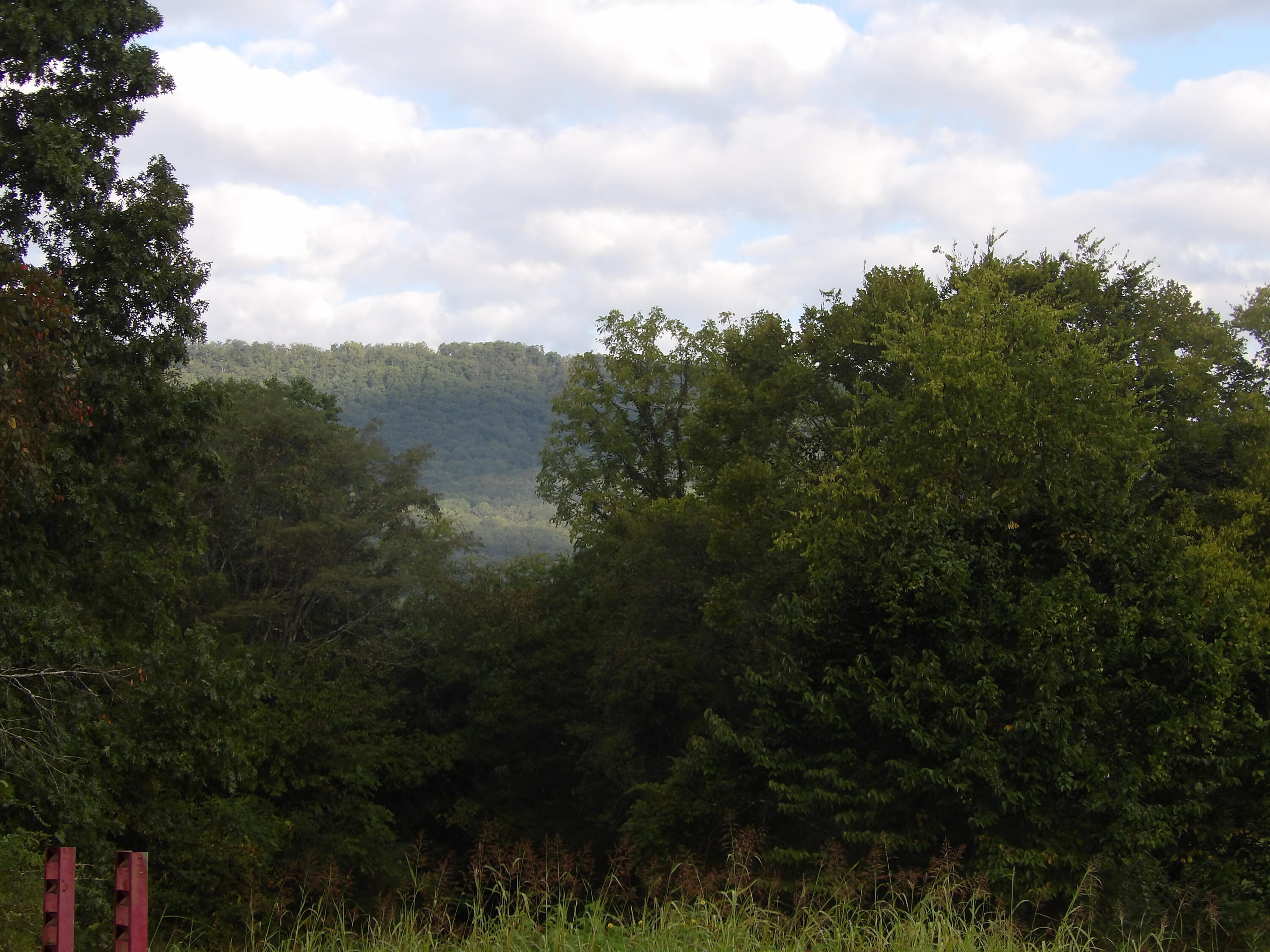 Lot 43 Meadow Vw Road, Unit 43 Pikeville, TN 37367 - Photo 22 of 25 100_1922