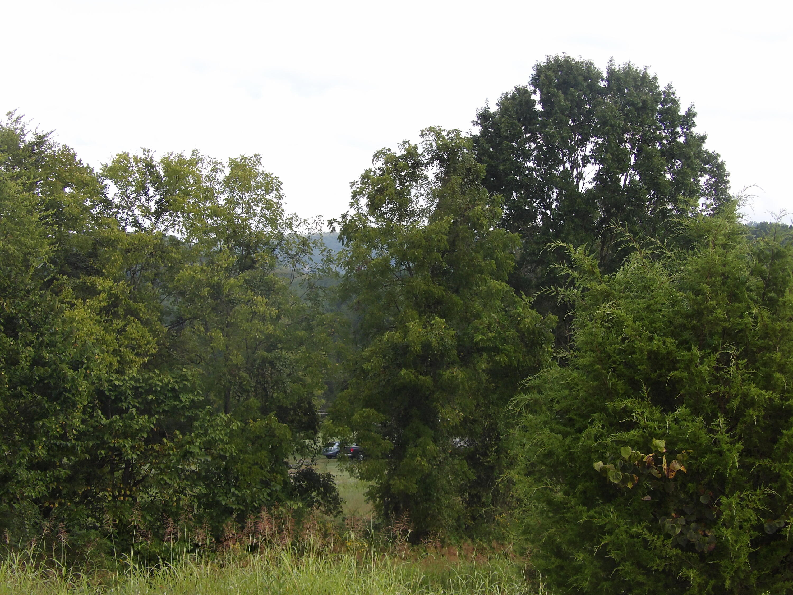 Lot 43 Meadow Vw Road, Unit 43 Pikeville, TN 37367 - Photo 23 of 25 100_1923