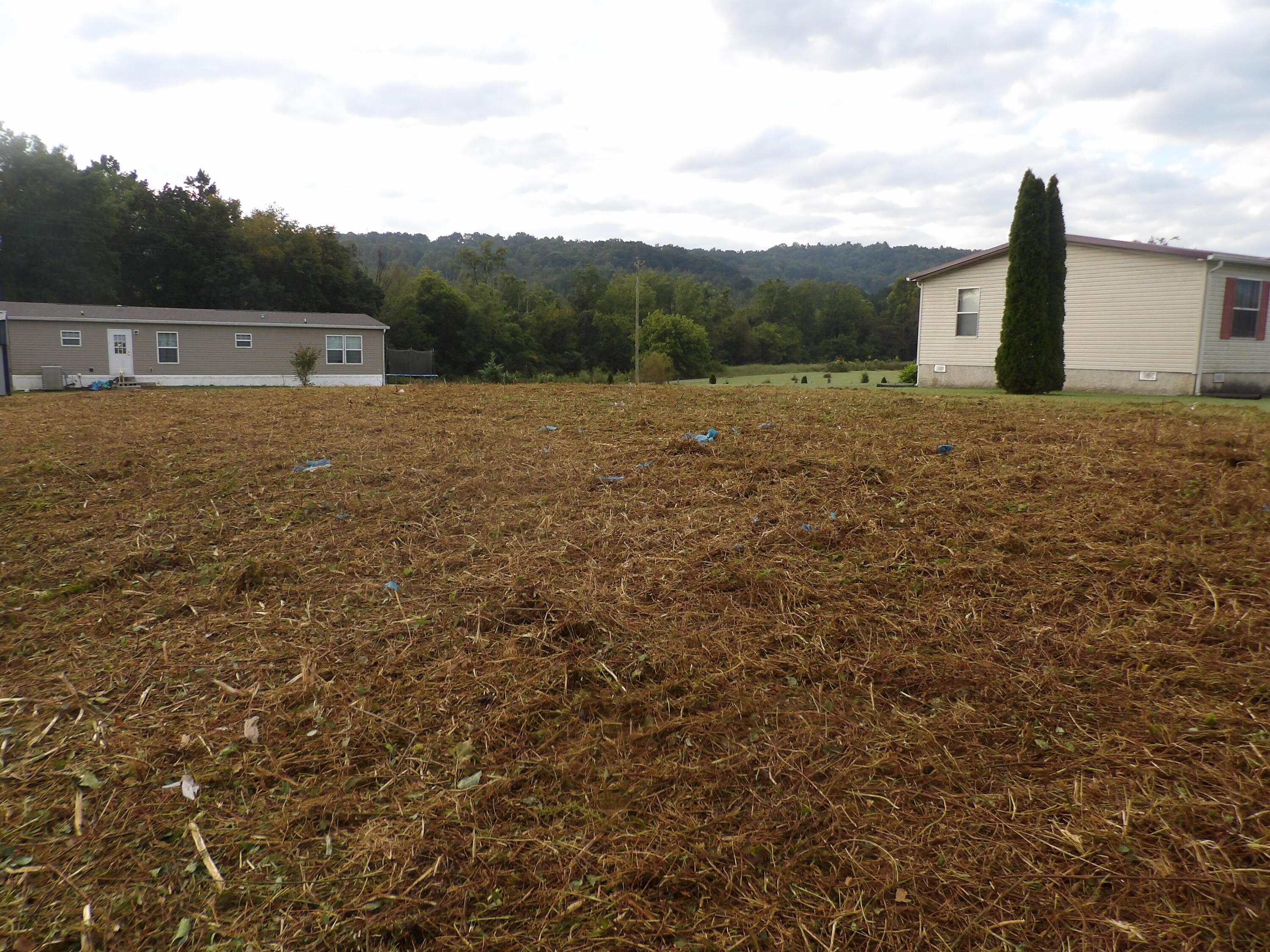 Lot 43 Meadow Vw Road, Unit 43 Pikeville, TN 37367 - Photo 24 of 25 100_1925