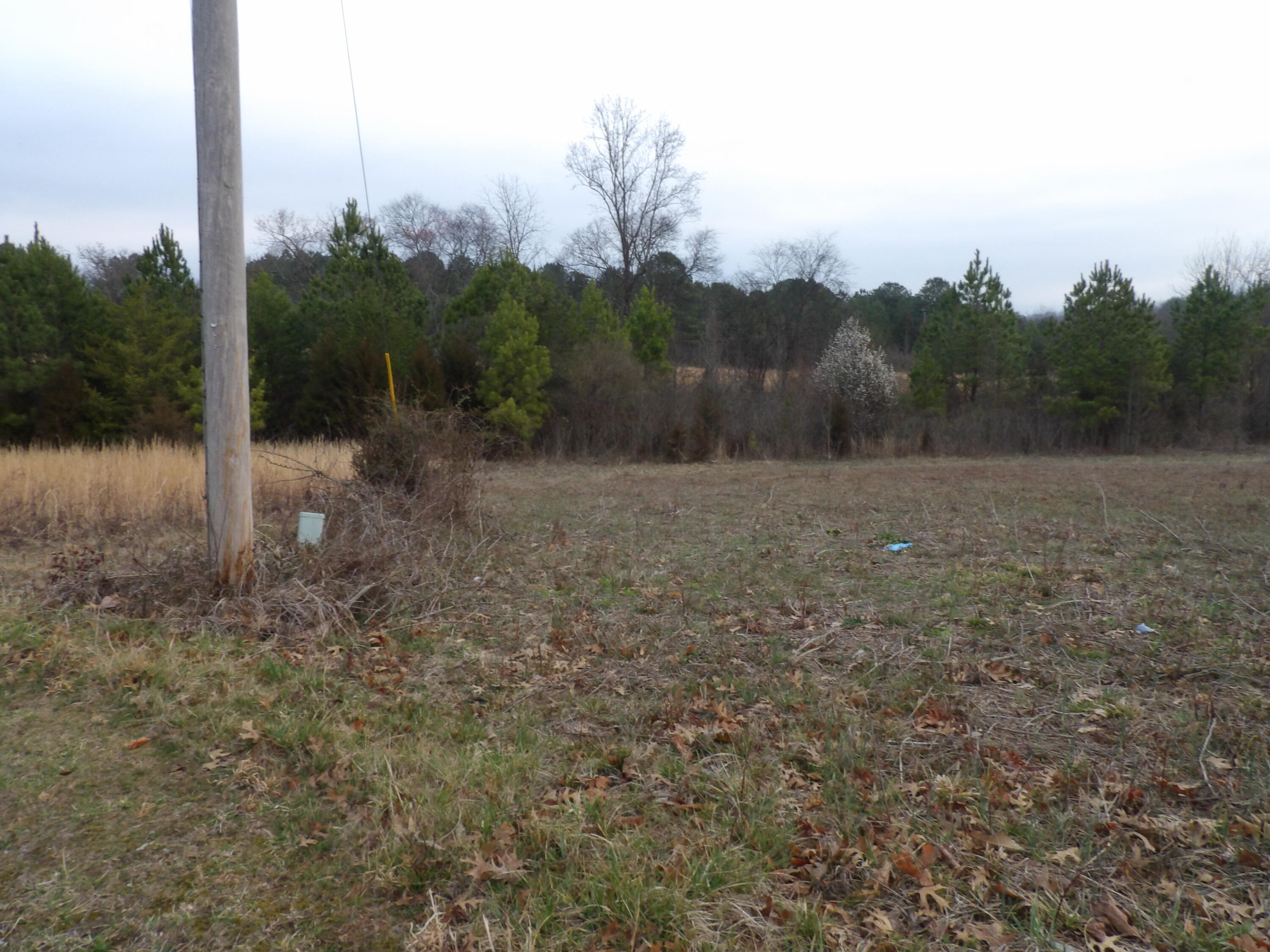 Lot 43 Meadow Vw Road, Unit 43 Pikeville, TN 37367 - Photo 4 of 25 100_2252