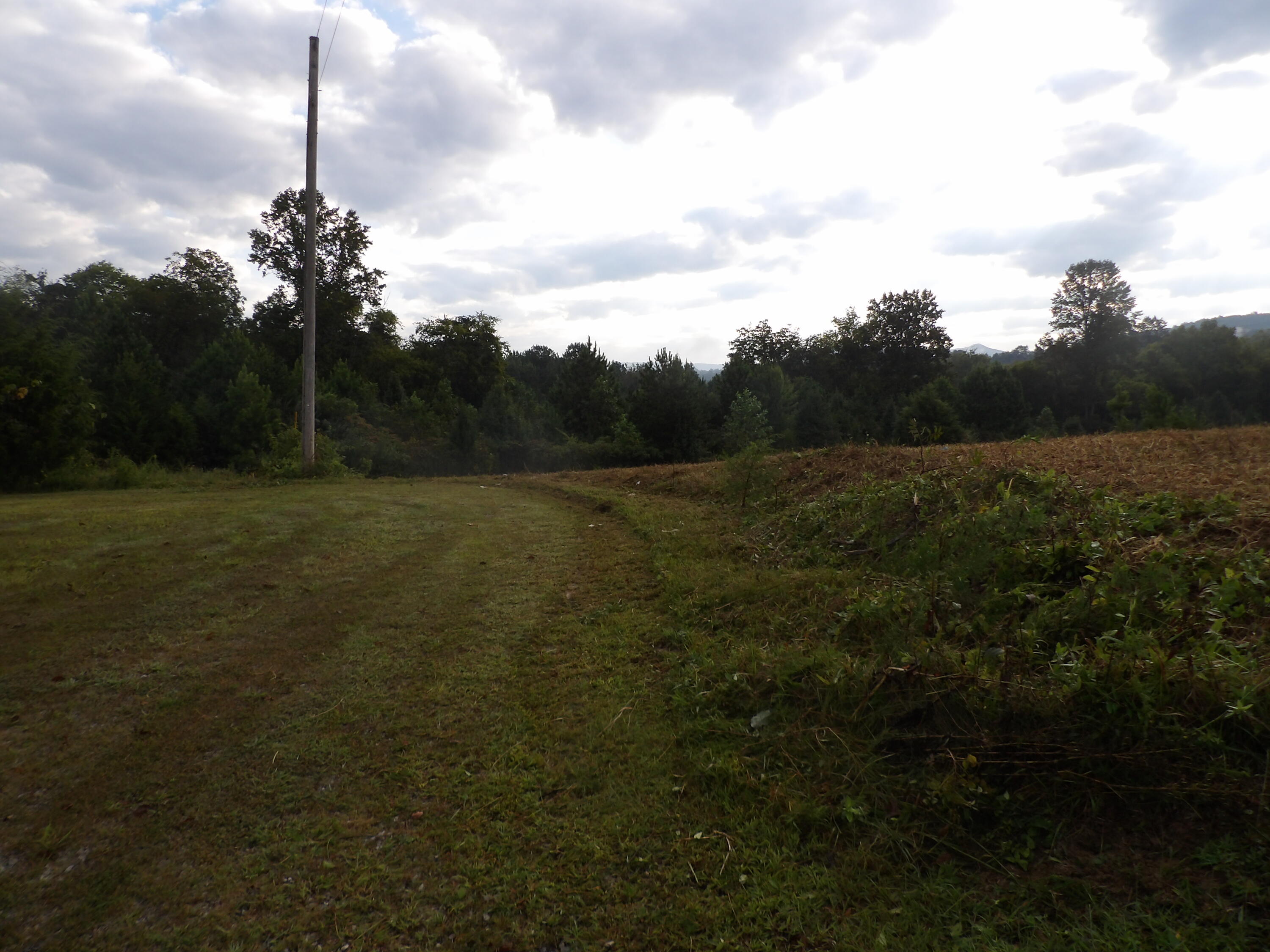 Lot 43 Meadow Vw Road, Unit 43 Pikeville, TN 37367 - Photo 5 of 25 100_1915