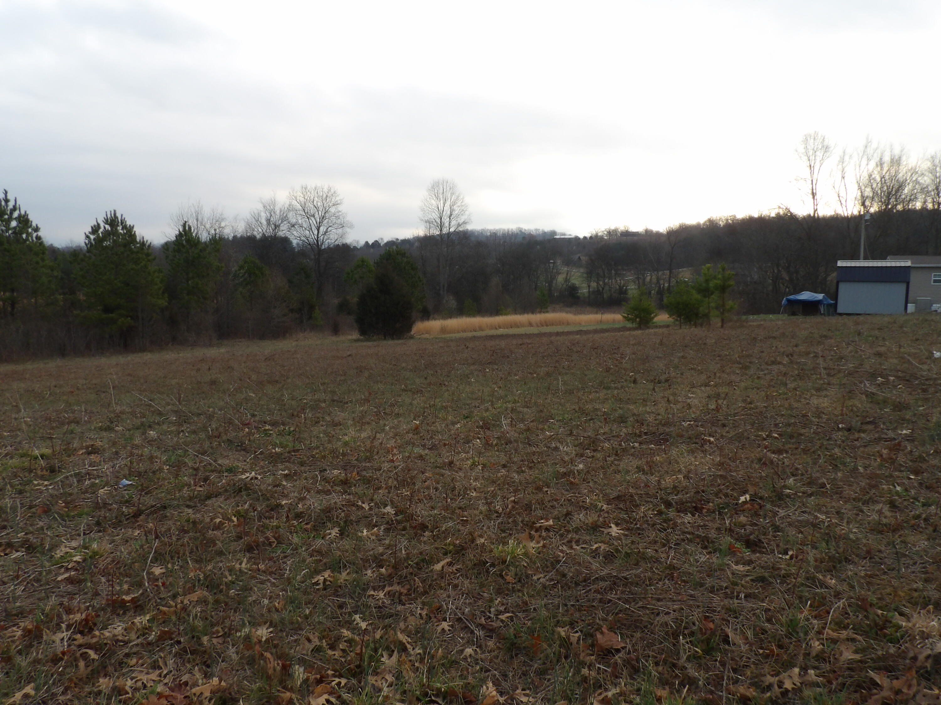 Lot 43 Meadow Vw Road, Unit 43 Pikeville, TN 37367 - Photo 6 of 25 100_2253