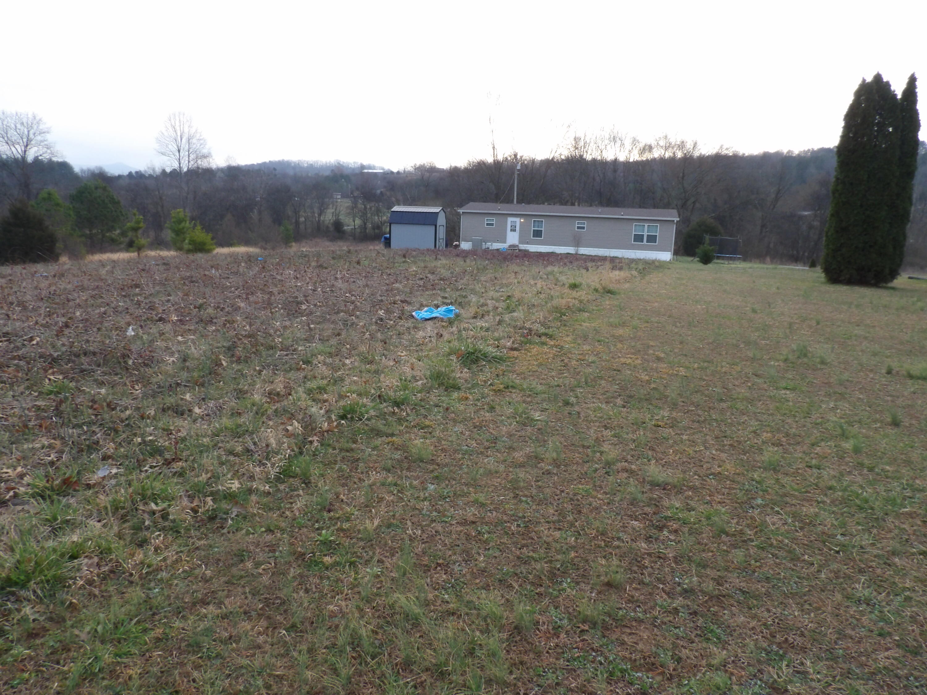Lot 43 Meadow Vw Road, Unit 43 Pikeville, TN 37367 - Photo 8 of 25 100_2255