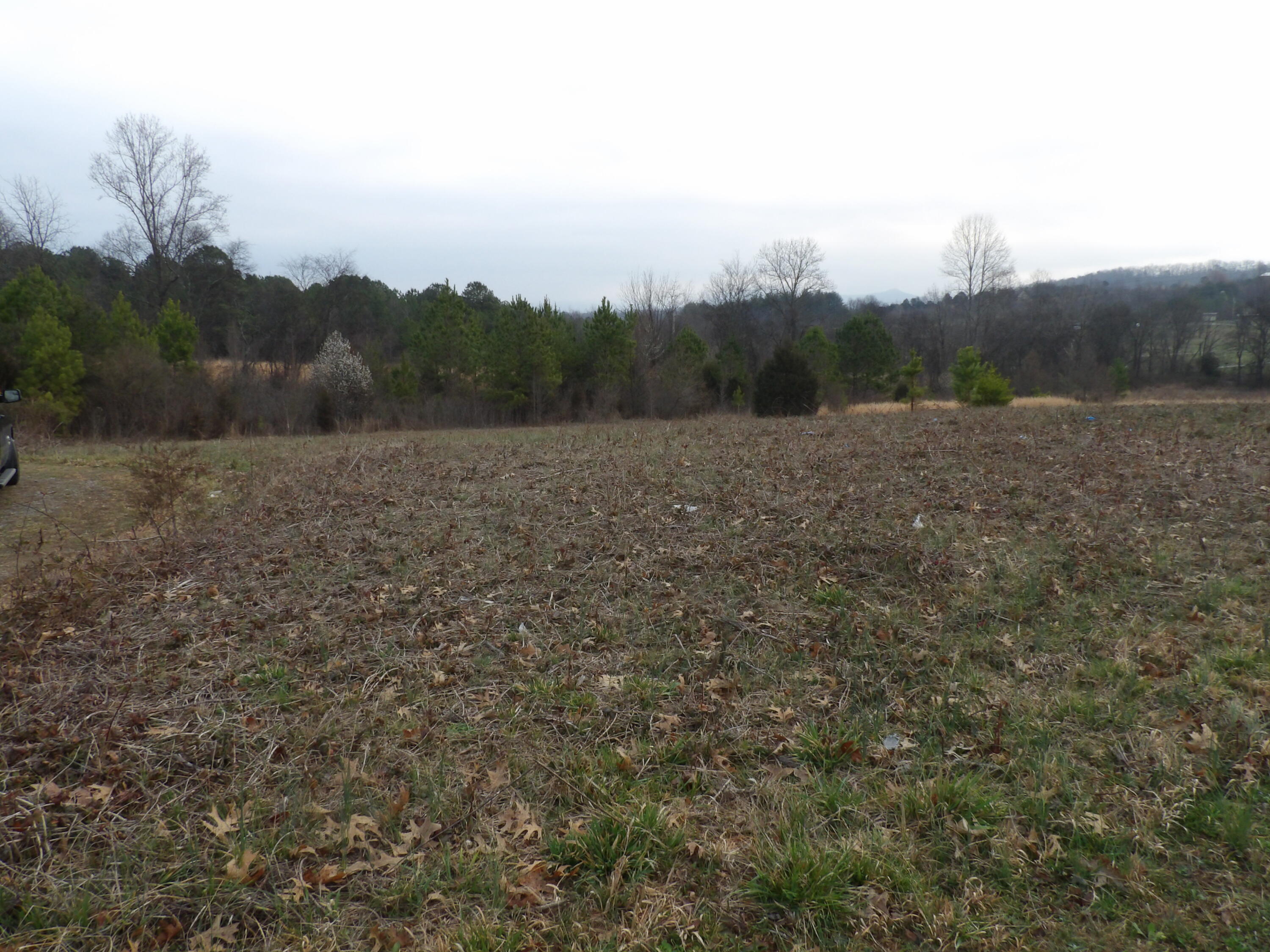 Lot 43 Meadow Vw Road, Unit 43 Pikeville, TN 37367 - Photo 9 of 25 100_2256