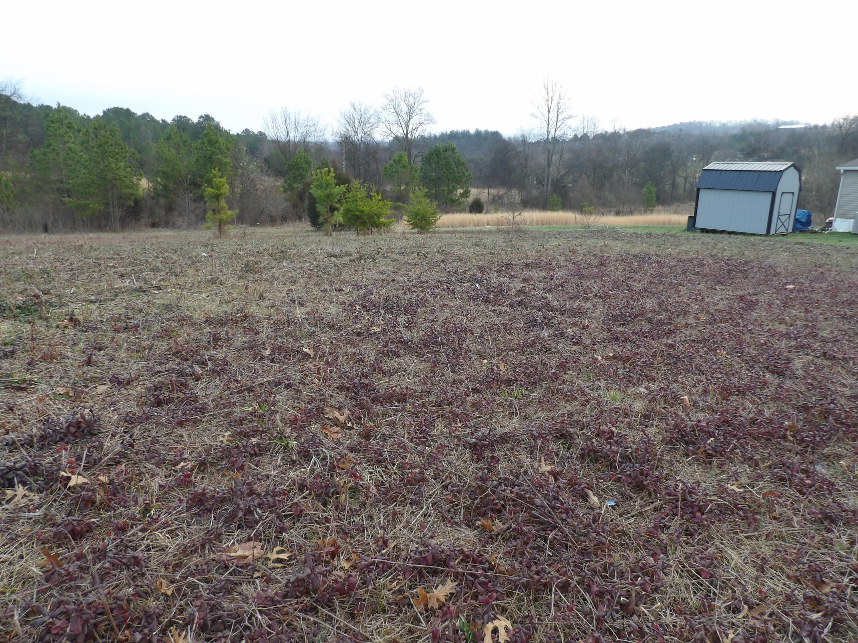 Lot 43 Meadow Vw Road, Unit 43 Pikeville, TN 37367 - Photo 10 of 25 100_2257