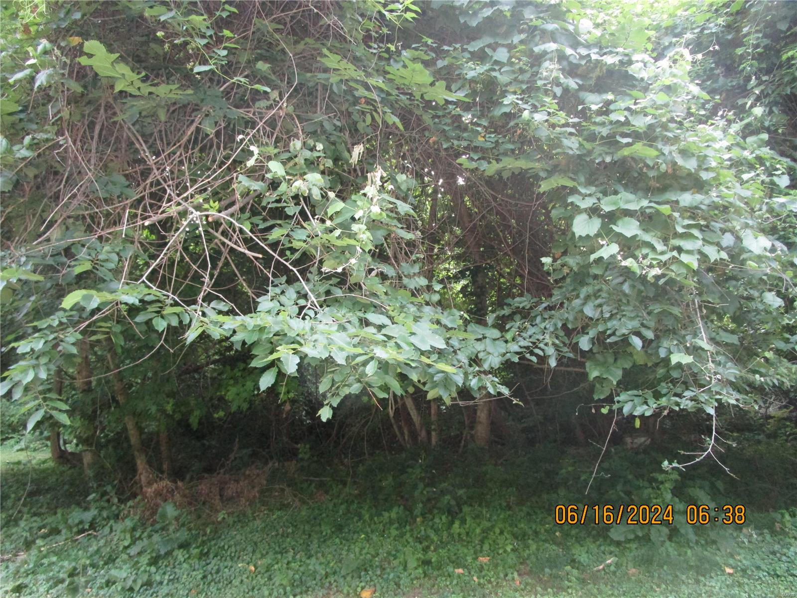 1200 Coppinger Road Alton, IL 62002 - Photo 11 of 12