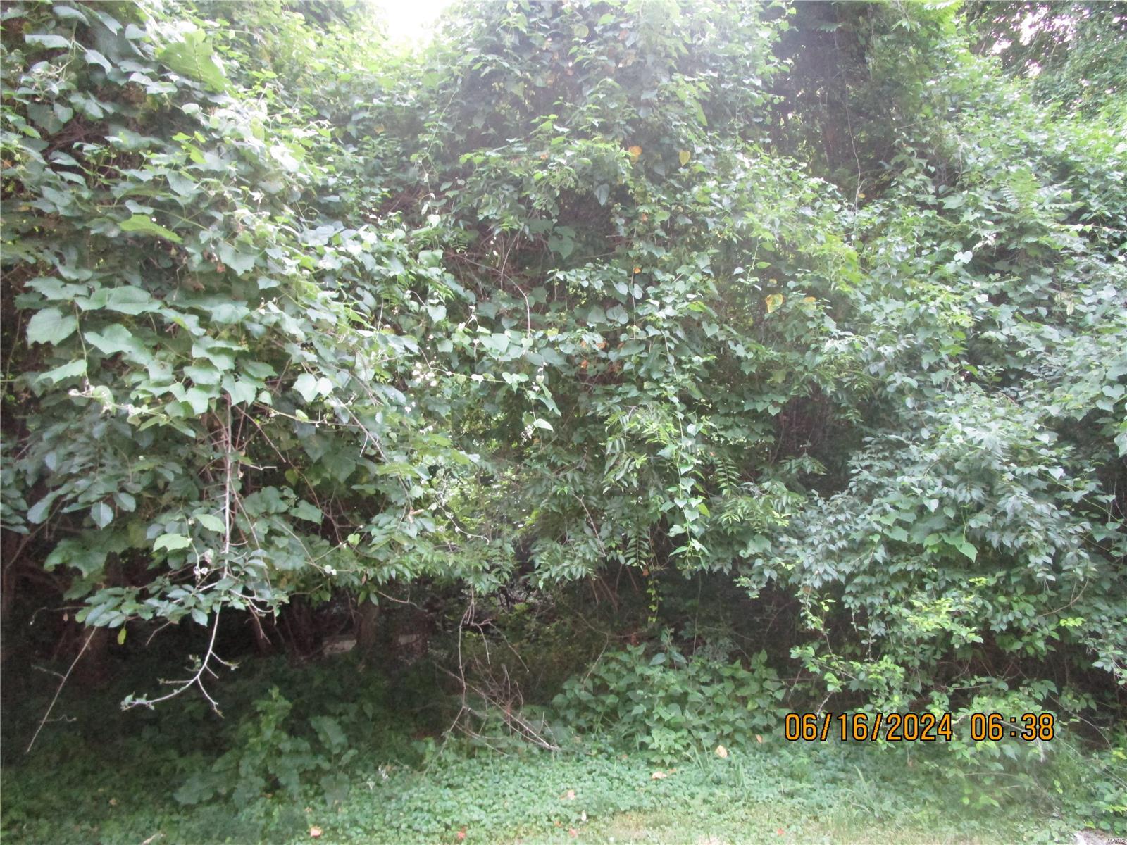 1200 Coppinger Road Alton, IL 62002 - Photo 12 of 12