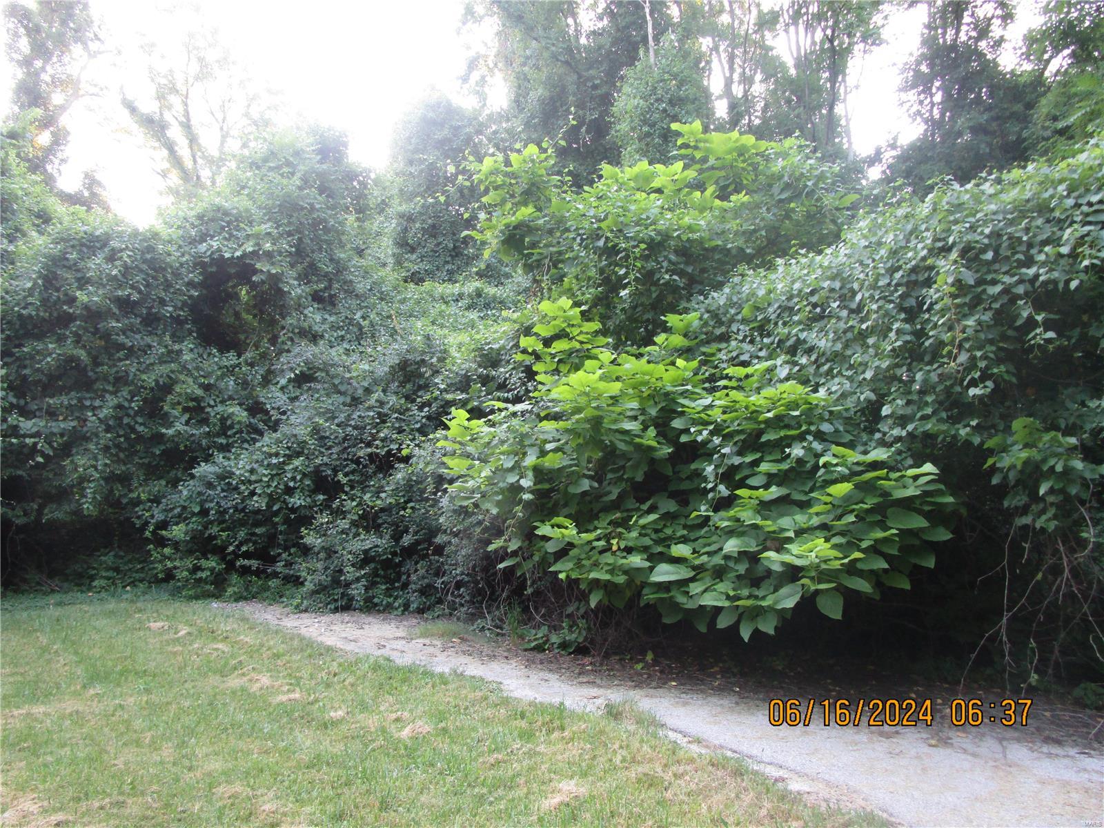 1200 Coppinger Road Alton, IL 62002 - Photo 4 of 12