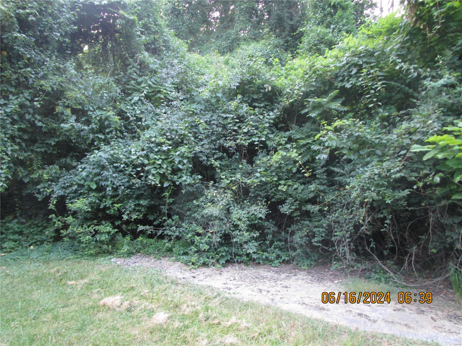 1200 Coppinger Road Alton, IL 62002 - Photo 5 of 12