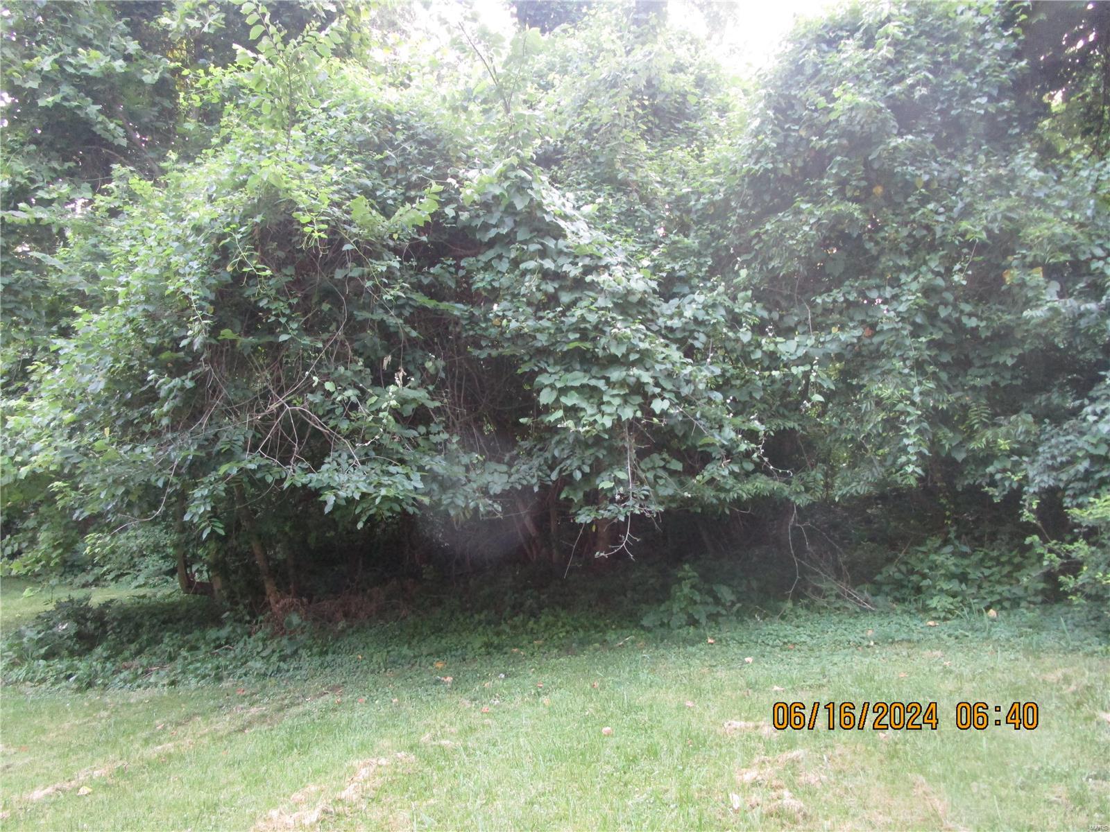 1200 Coppinger Road Alton, IL 62002 - Photo 6 of 12