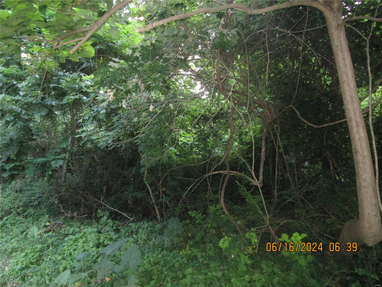 1200 Coppinger Road Alton, IL 62002 - Photo 7 of 12