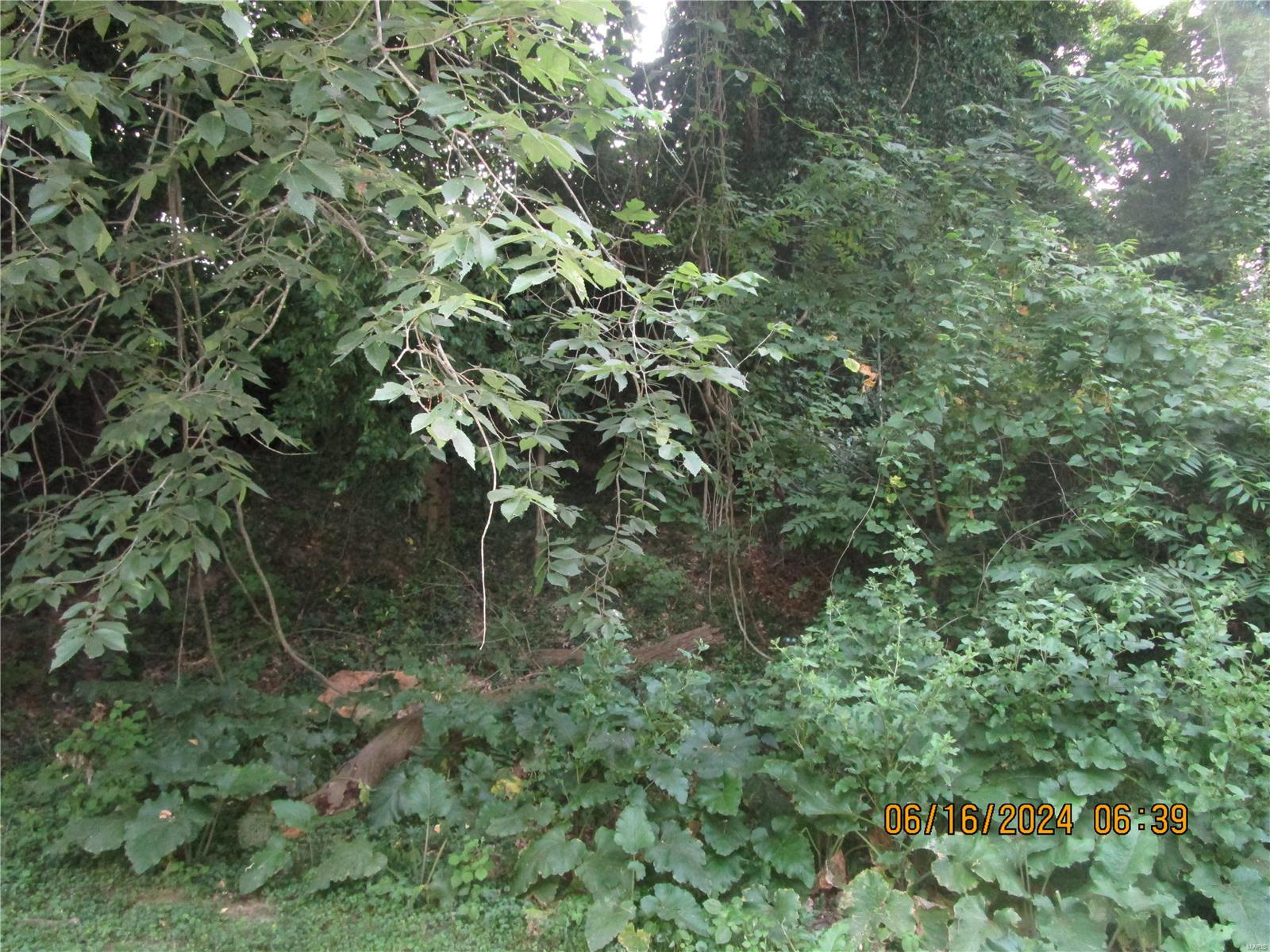 1200 Coppinger Road Alton, IL 62002 - Photo 8 of 12