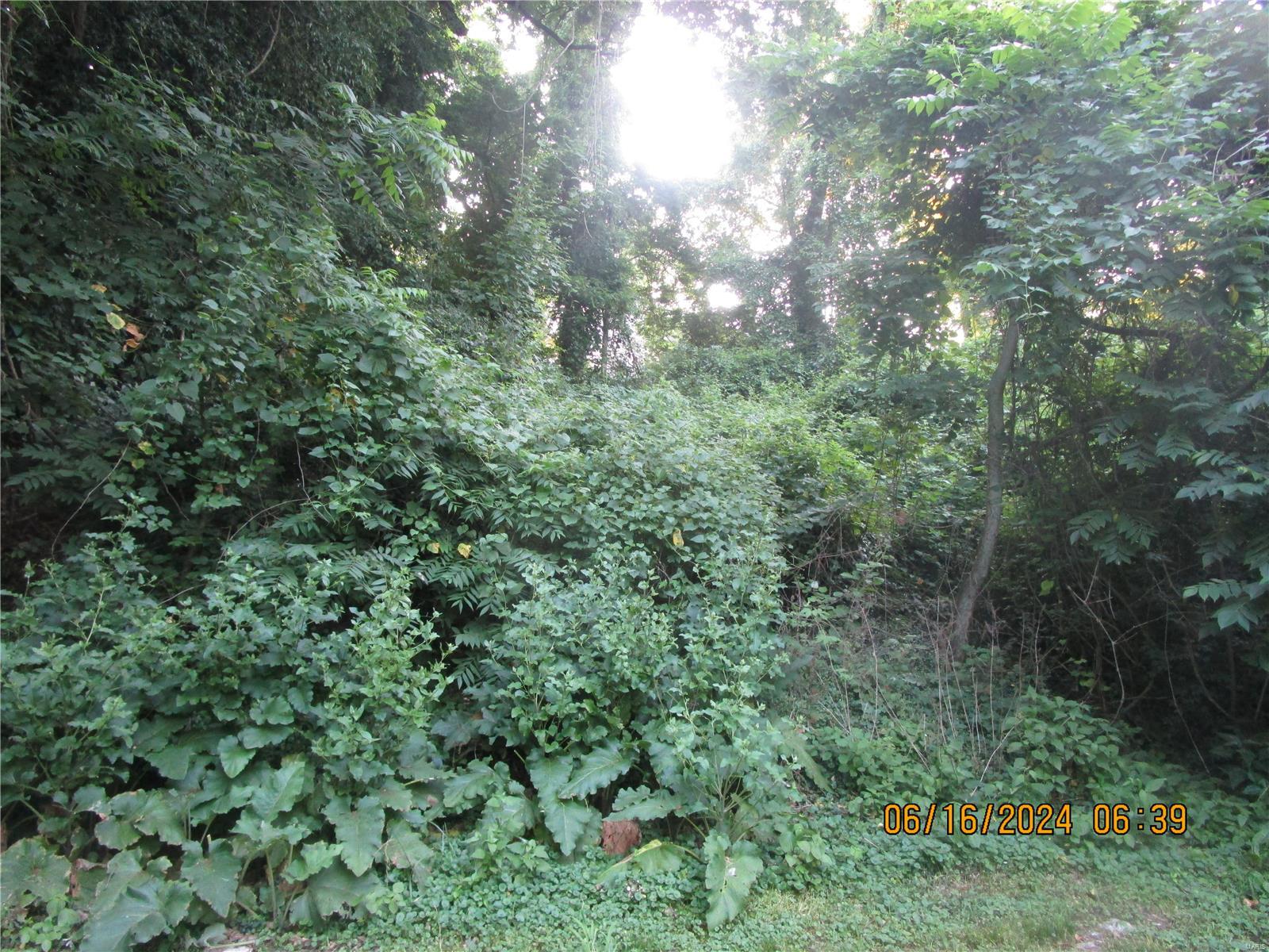 1200 Coppinger Road Alton, IL 62002 - Photo 9 of 12