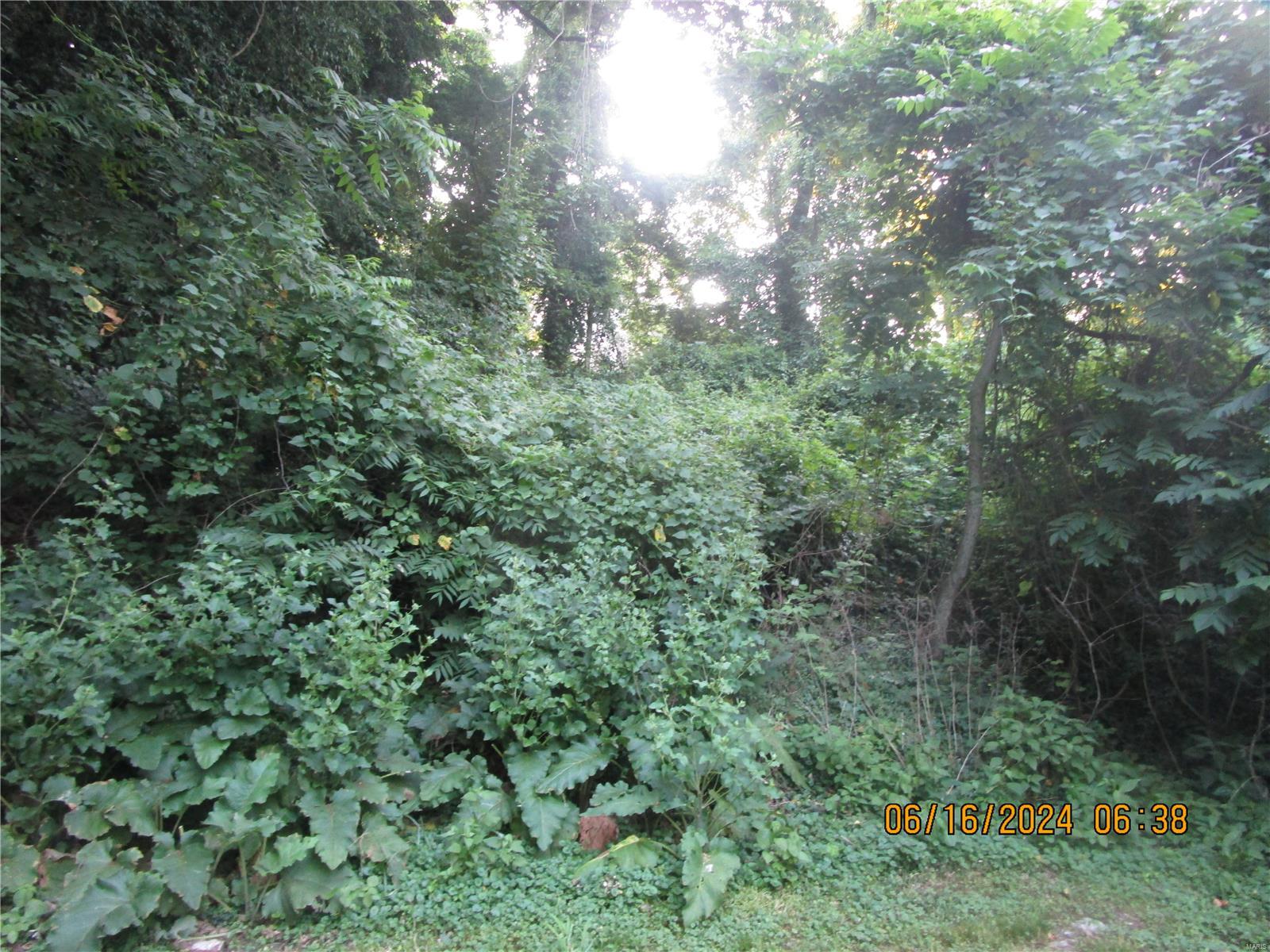 1200 Coppinger Road Alton, IL 62002 - Photo 10 of 12