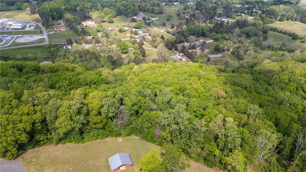 0 Bicentennial Trail Rock Spring, GA 30739 - Photo 13 of 24 a view of a forest