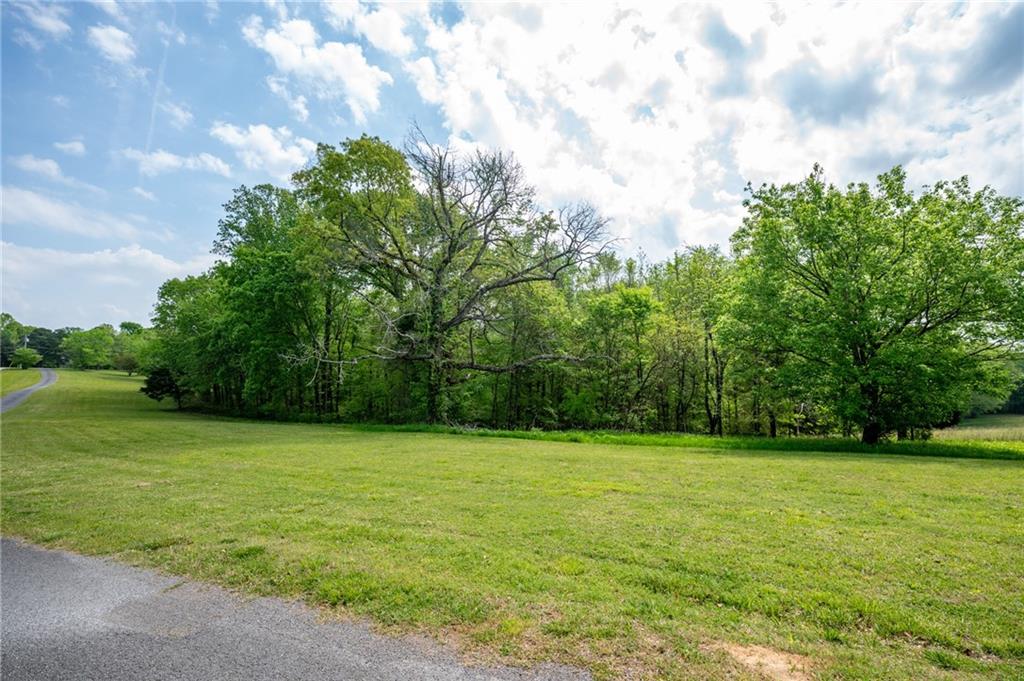 0 Bicentennial Trail Rock Spring, GA 30739 - Photo 20 of 24 a view of a field with a trees in the background