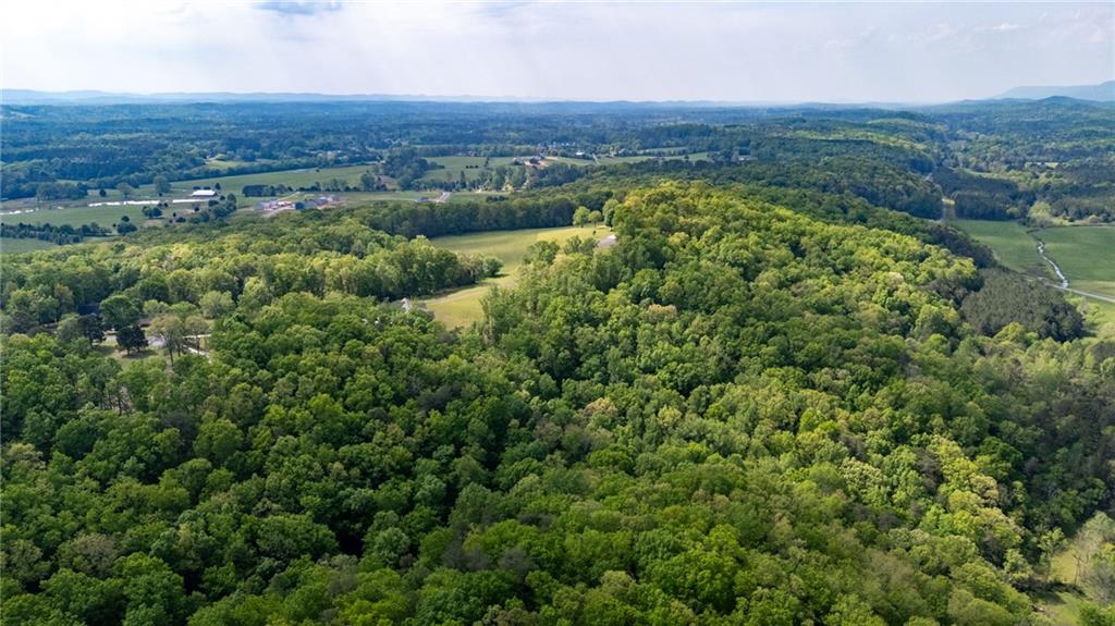 0 Bicentennial Trail Rock Spring, GA 30739 - Photo 2 of 24 an aerial view of a houses with a lush green hillside