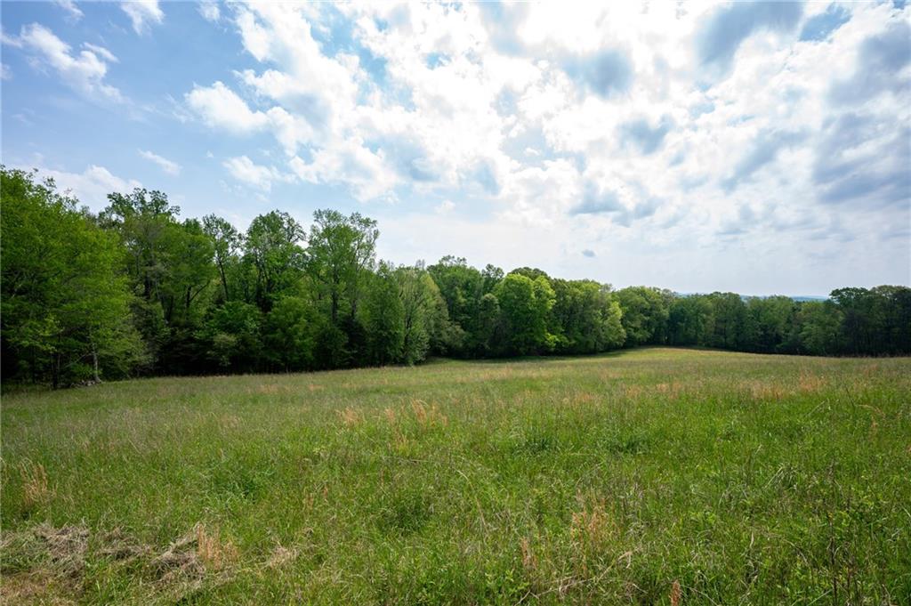 0 Bicentennial Trail Rock Spring, GA 30739 - Photo 22 of 24 a view of a big yard with lots of green space