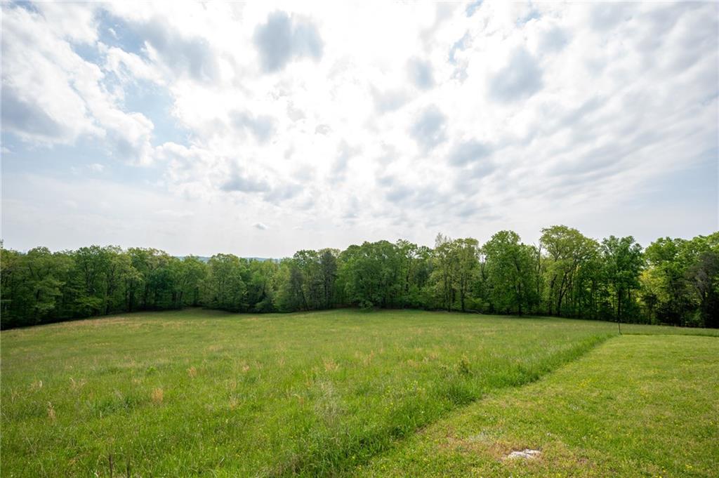 0 Bicentennial Trail Rock Spring, GA 30739 - Photo 23 of 24 a view of a green field with wooden fence