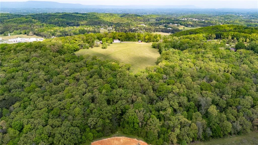 0 Bicentennial Trail Rock Spring, GA 30739 - Photo 8 of 24 a view of a city with lush green forest