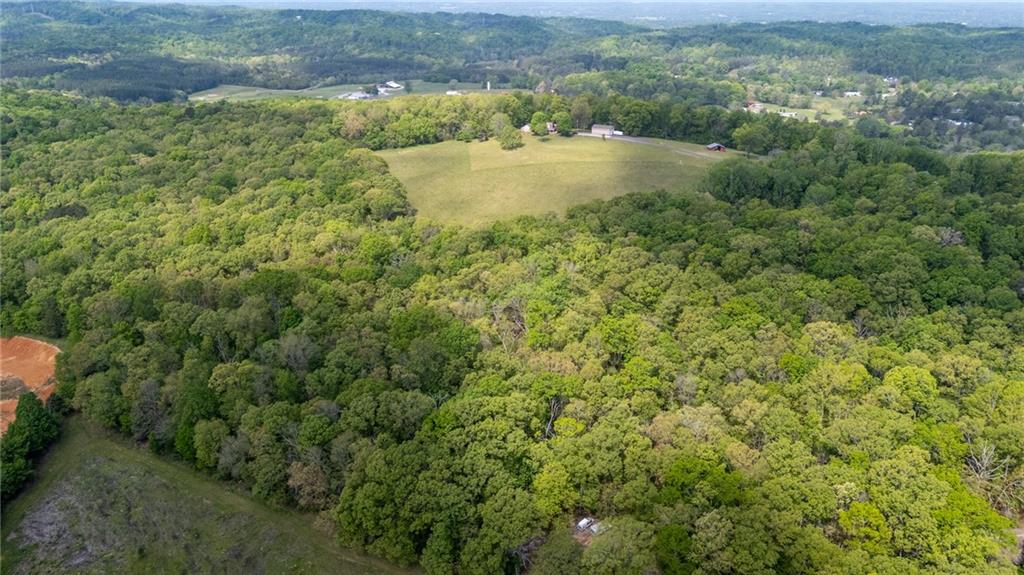 0 Bicentennial Trail Rock Spring, GA 30739 - Photo 9 of 24 a view of a forest with a yard