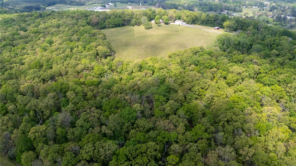 0 Bicentennial Trail Rock Spring, GA 30739 - Photo 10 of 24