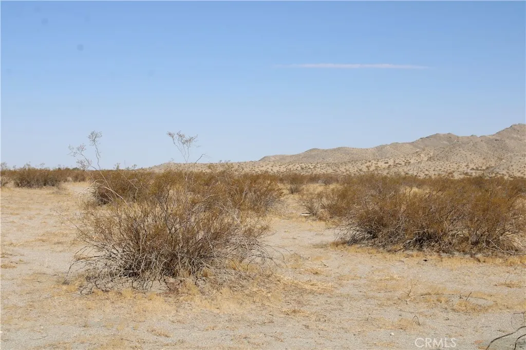 18 Lessing Road Adelanto, CA 92301 - Photo 17 of 19 a view of a dry yard with mountains in the background