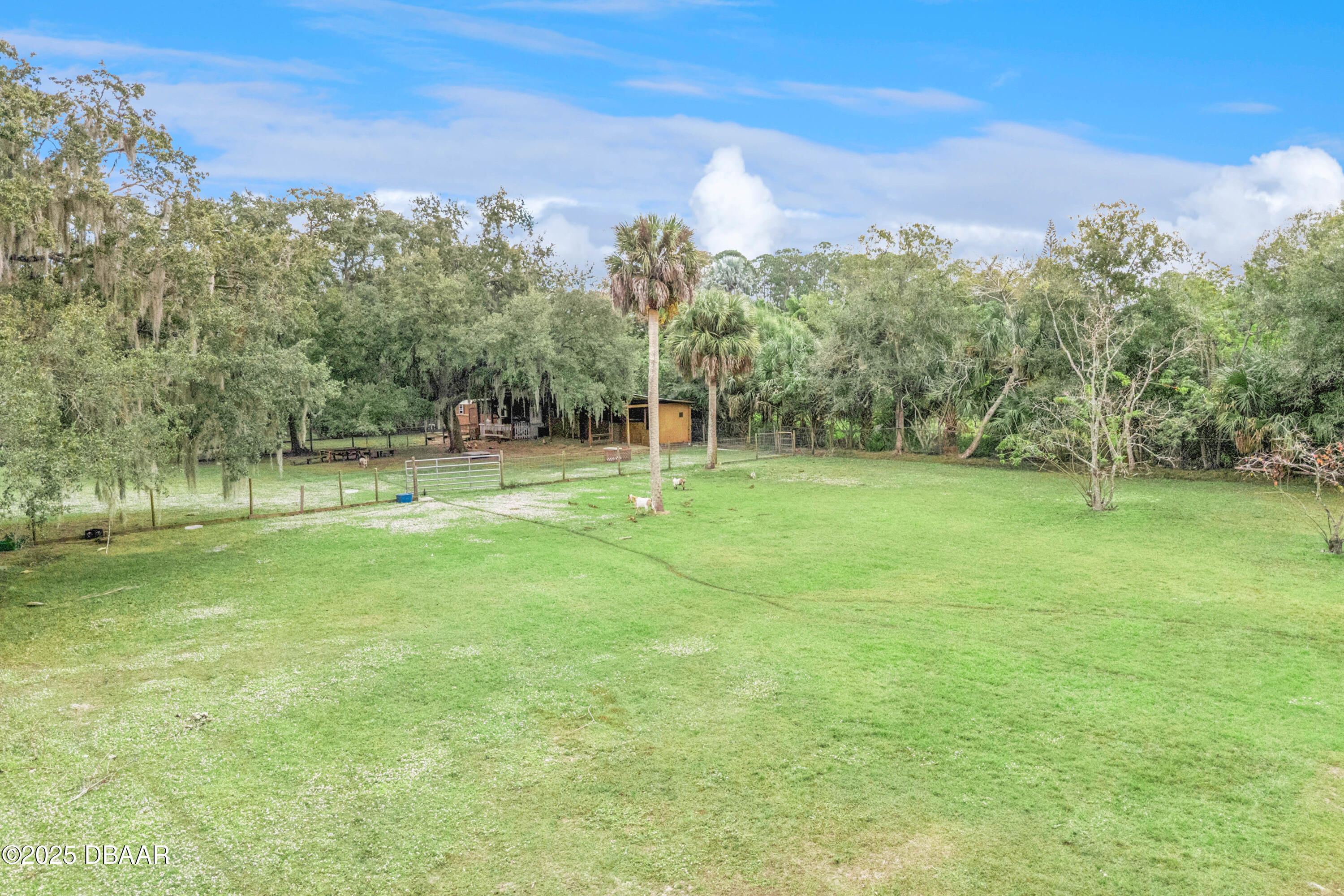 4191 Corey Road Grant Valkaria, FL 32950 - Photo 35 of 55 a view of a park with large trees
