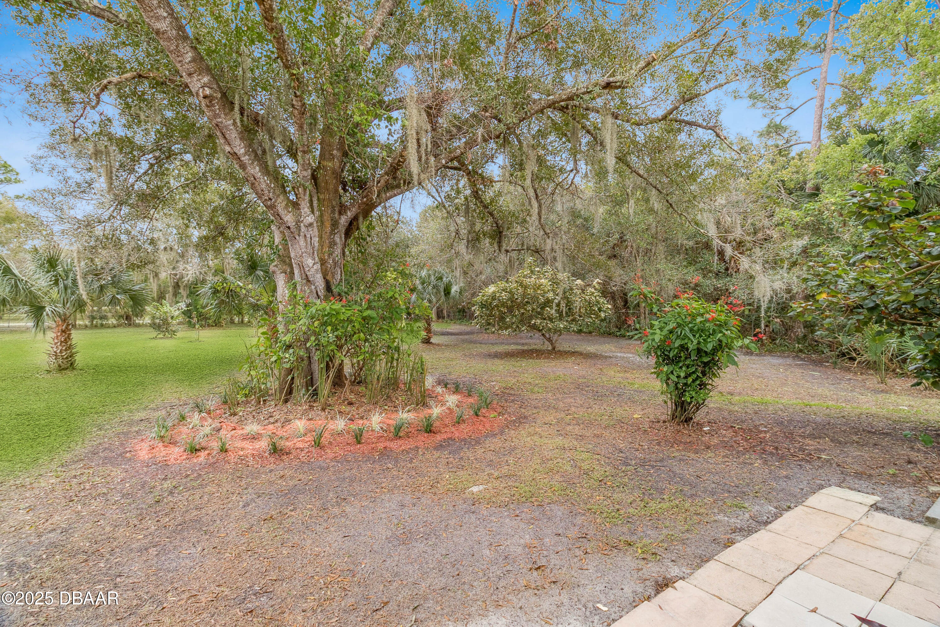 4191 Corey Road Grant Valkaria, FL 32950 - Photo 43 of 55 a view of a yard with plants and trees