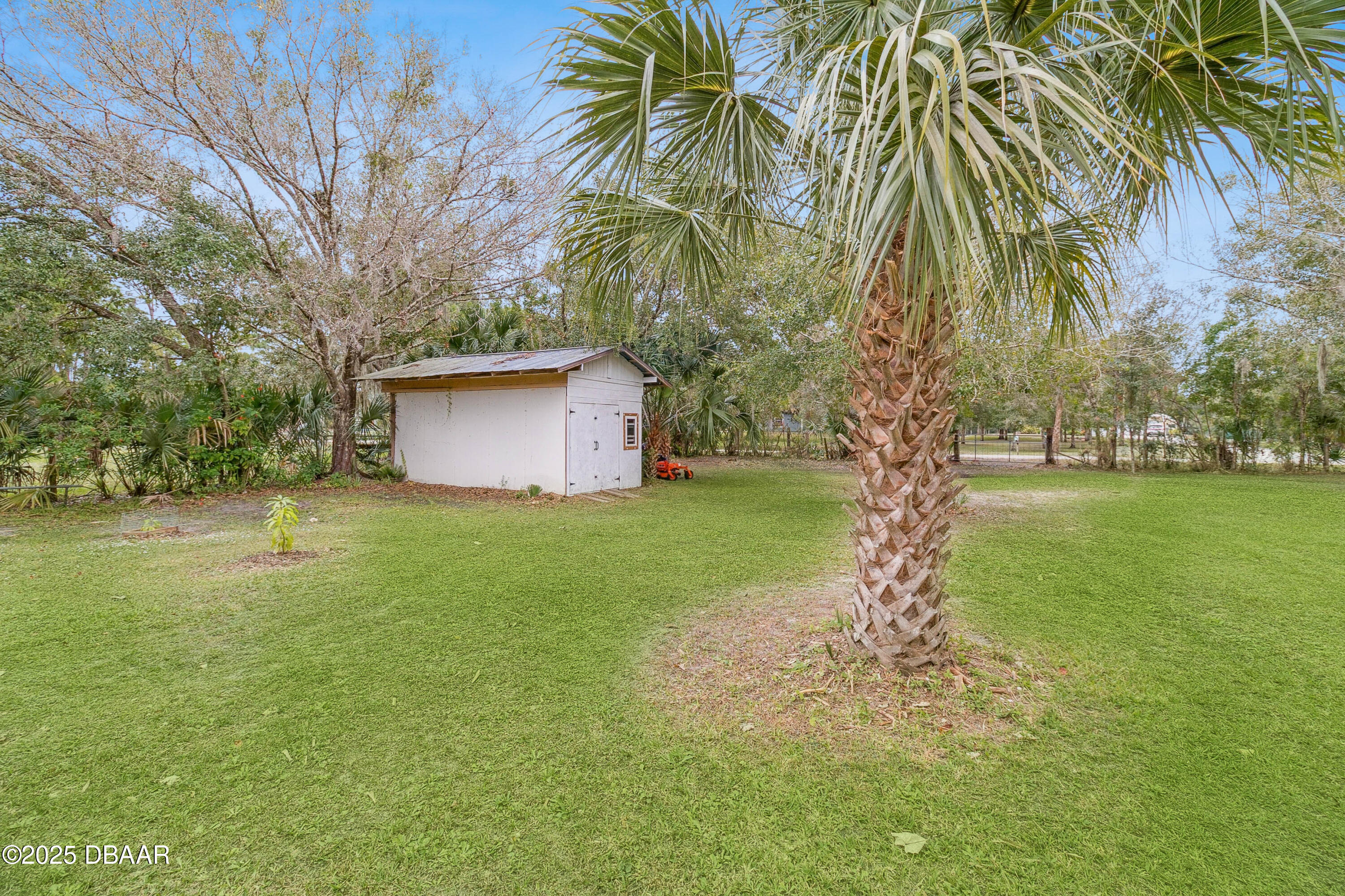 4191 Corey Road Grant Valkaria, FL 32950 - Photo 44 of 55 a backyard of a house with lots of green space