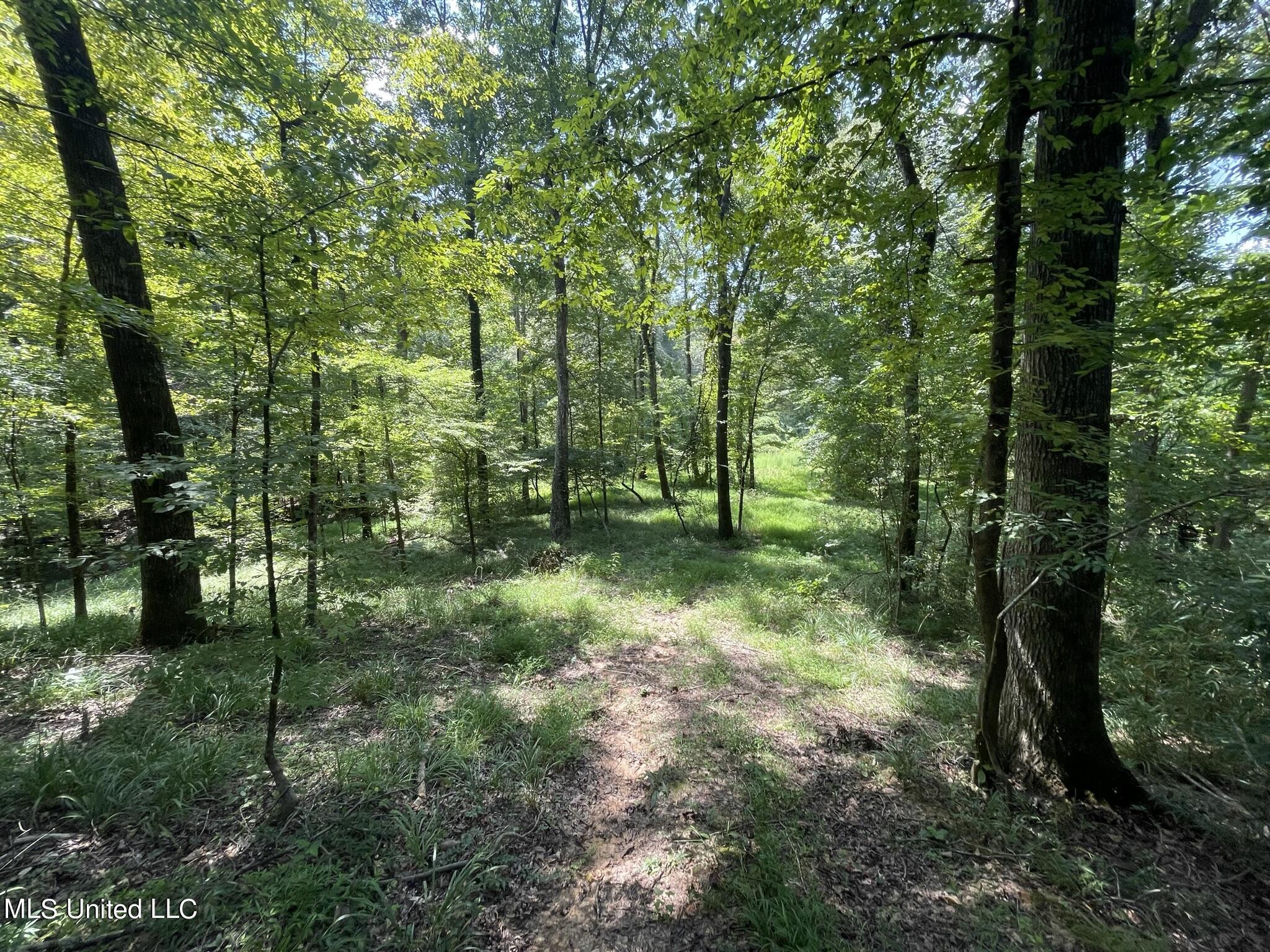East Cox Ferry Road Bolton, MS 39041 - Photo 1 of 1 46 acres in Hinds County
