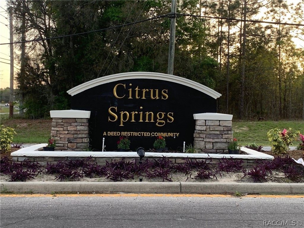 547 West Homeway Loop Citrus Springs, FL 34434 - Photo 5 of 8
