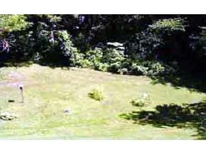 4 Wheatfield Drive Rochester, VT 05767 - Photo 4 of 5