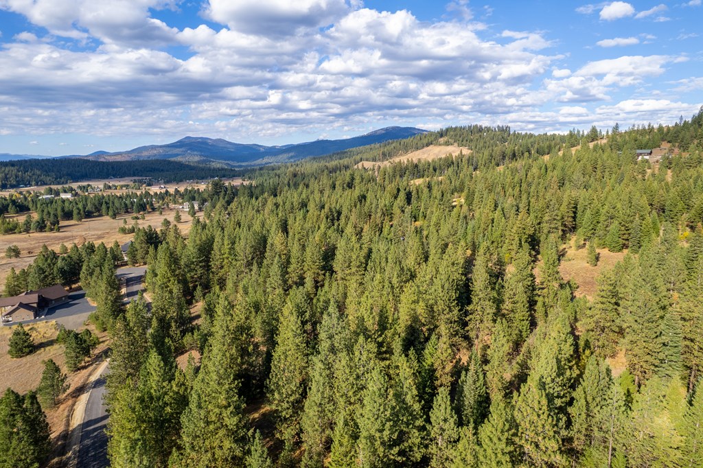 Tbd Whitefield Lane, Unit 12 McCall, ID 83638 - Photo 11 of 12