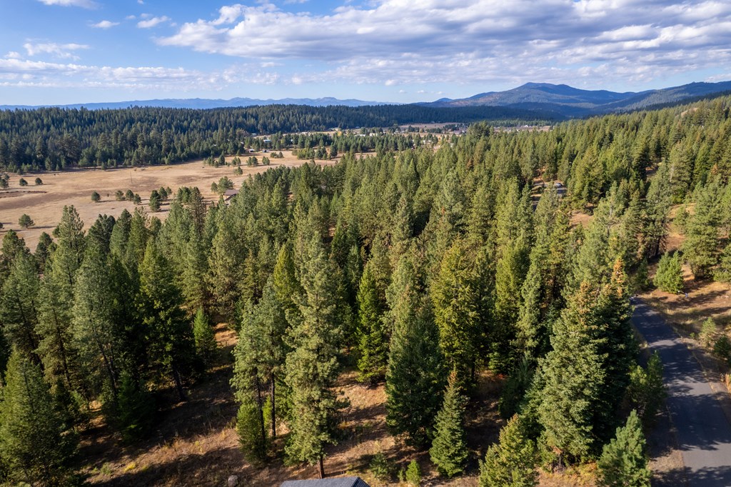 Tbd Whitefield Lane, Unit 12 McCall, ID 83638 - Photo 12 of 12