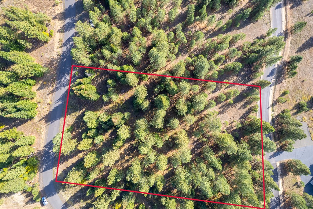 Tbd Whitefield Lane, Unit 12 McCall, ID 83638 - Photo 4 of 12