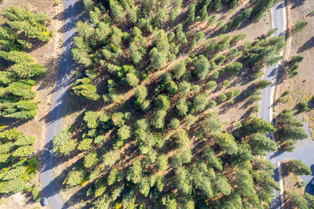 Tbd Whitefield Lane, Unit 12 McCall, ID 83638 - Photo 5 of 12