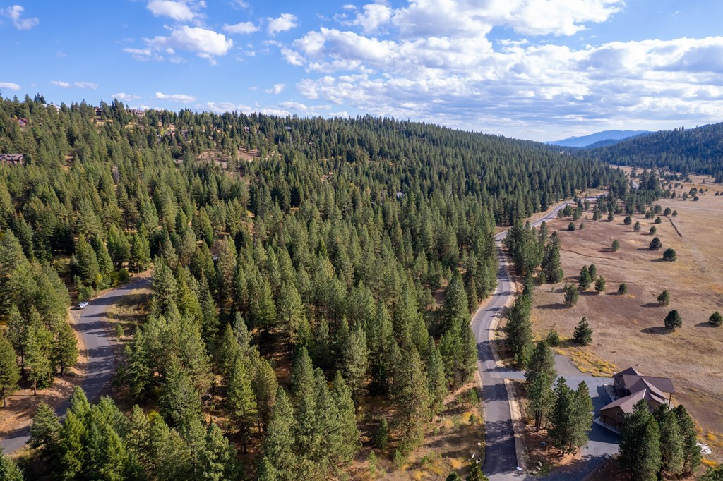 Tbd Whitefield Lane, Unit 12 McCall, ID 83638 - Photo 7 of 12