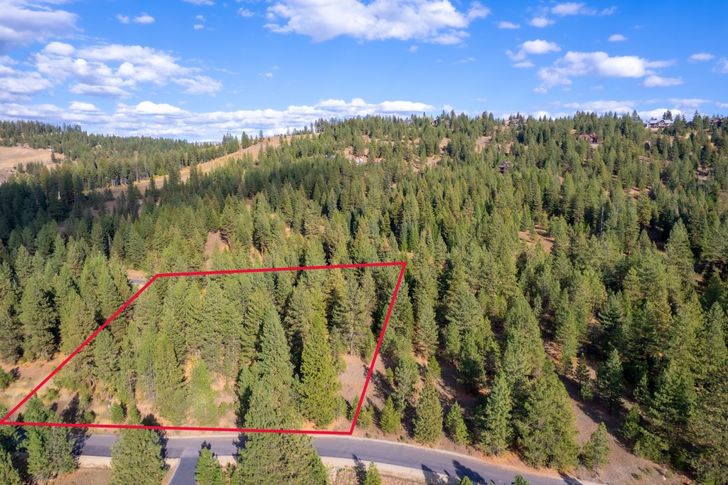 Tbd Whitefield Lane, Unit 12 McCall, ID 83638 - Photo 9 of 12