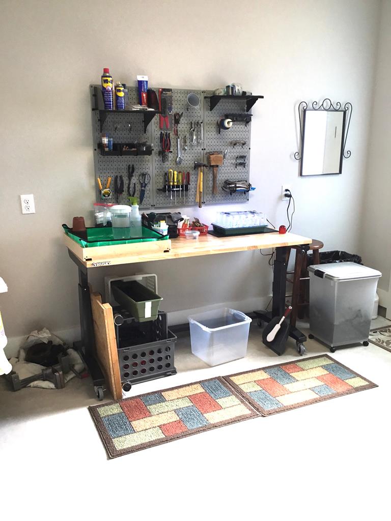 2085 Toscano Way Kerrville, TX 78028 - Photo 35 of 36