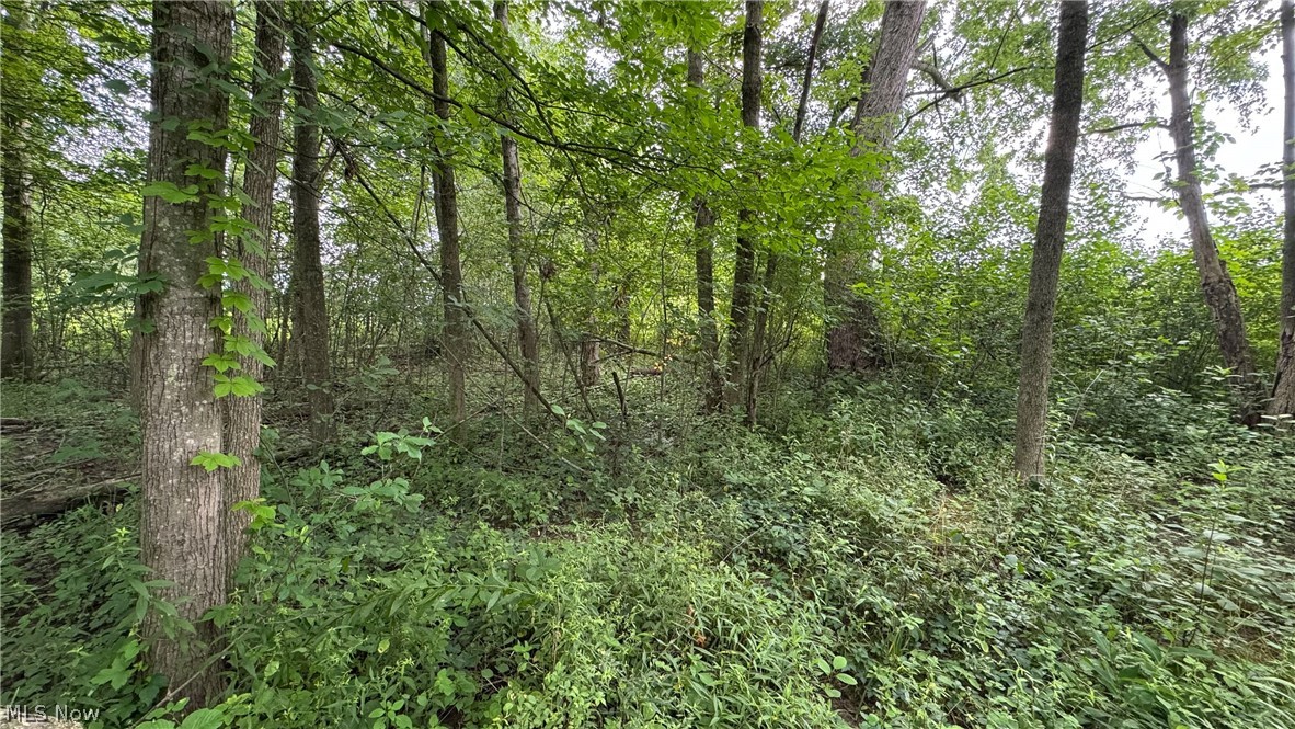 0 Pontius Road Mogadore, OH 44260 - Photo 28 of 32 Gallery Image 28
