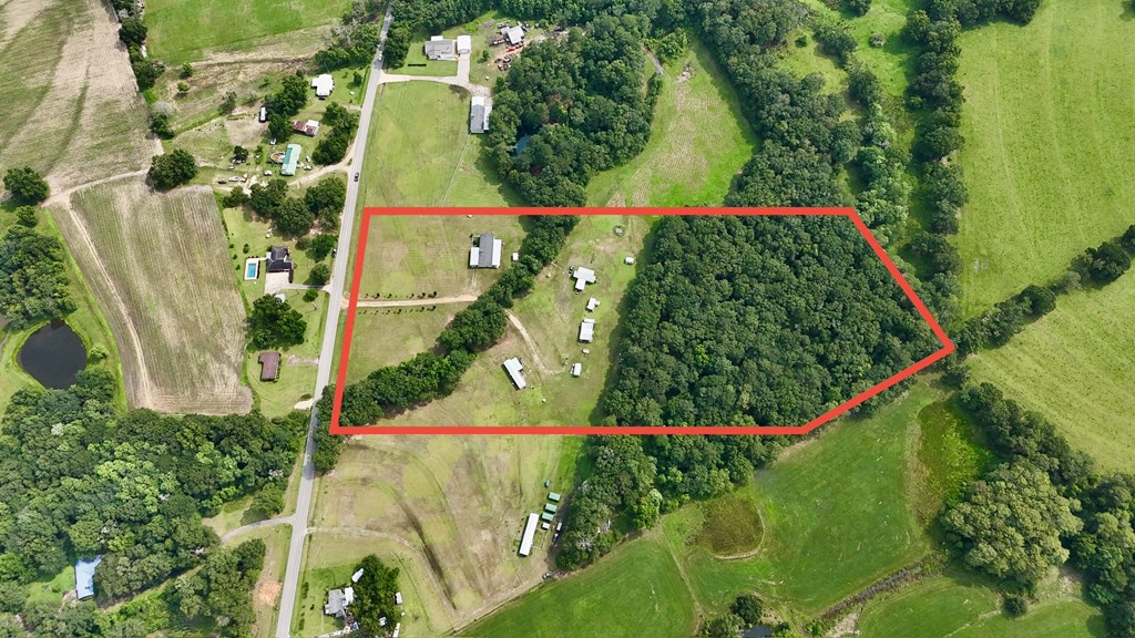 7252 County Road 49 Slocomb, AL 36375 - Photo 79 of 84