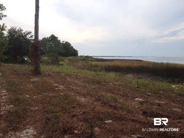0 Plash Road Gulf Shores, AL 36542 - Photo 3 of 7