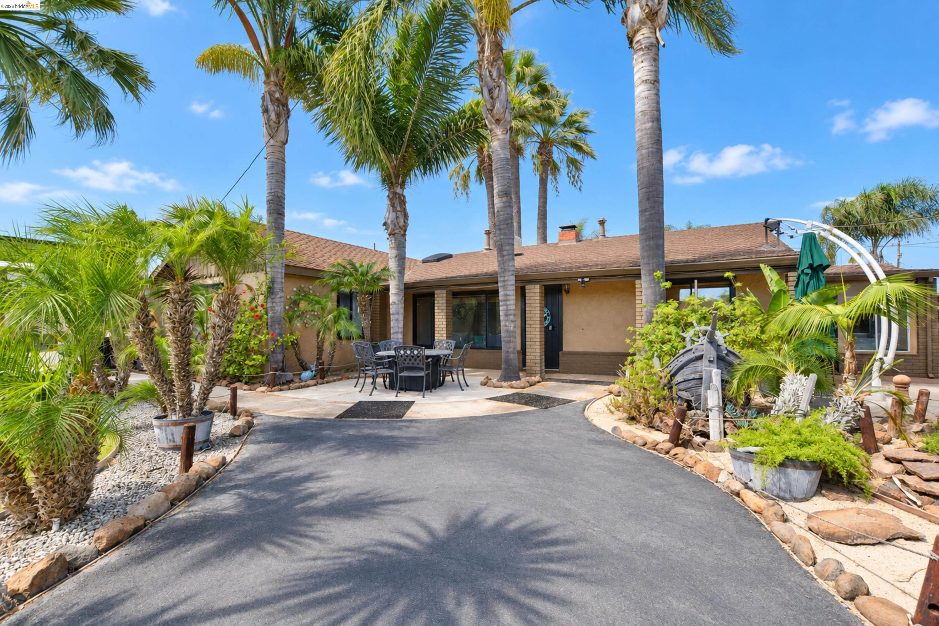 340 West Bolton Road Oakley, CA 94561 - Photo 9 of 87 Paved driveway leading to a stone patio with a collection of mature palm trees and diverse landscaping