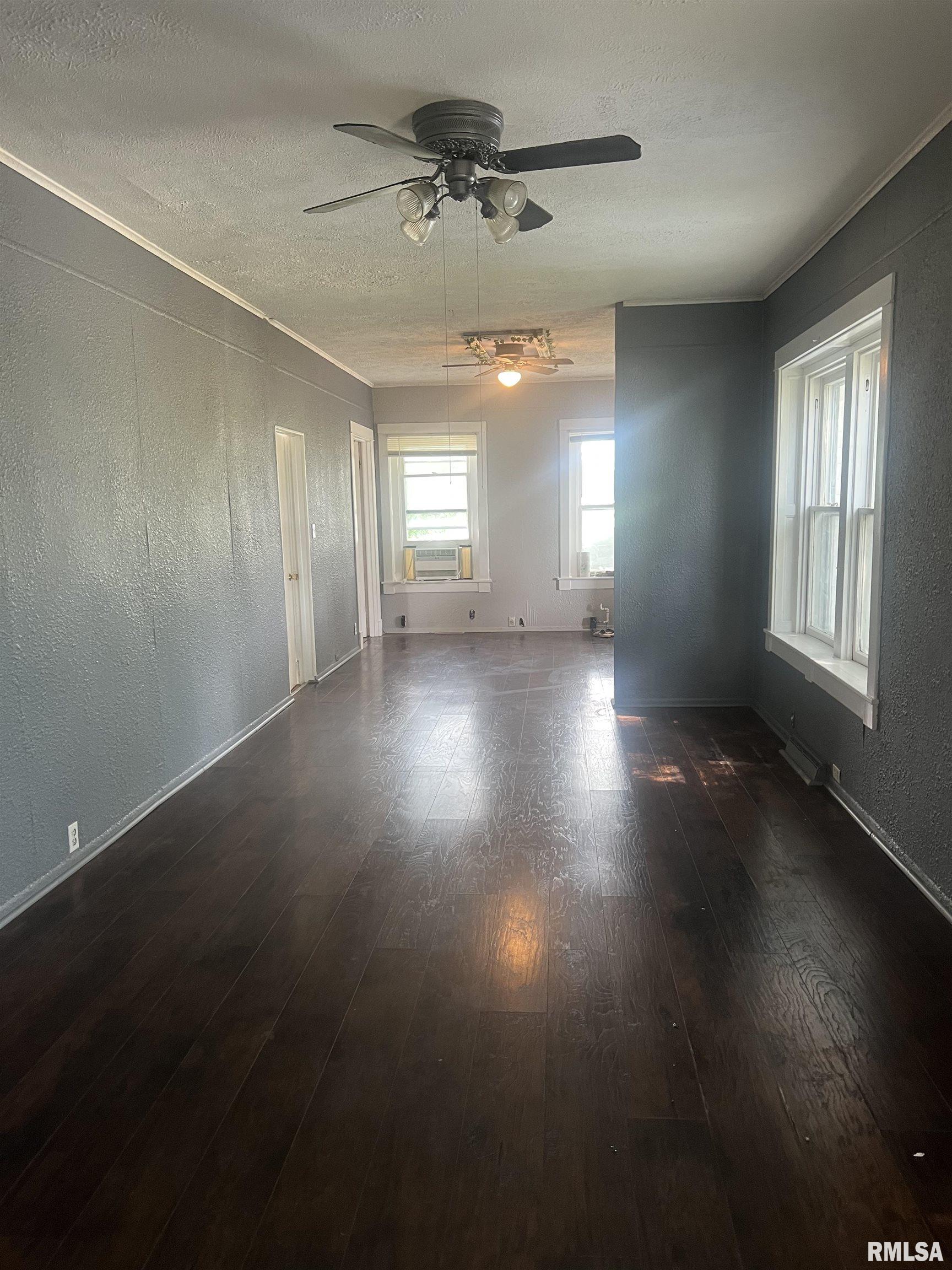 439 West Grand Street Roodhouse, IL 62082 - Photo 9 of 12 Gallery Image 9