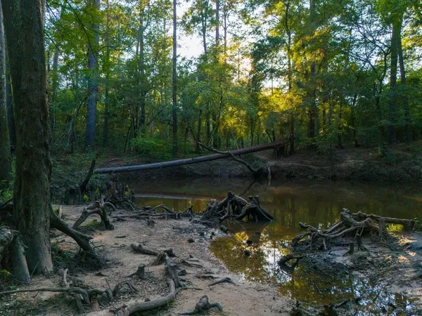 a view of a lake with a forest