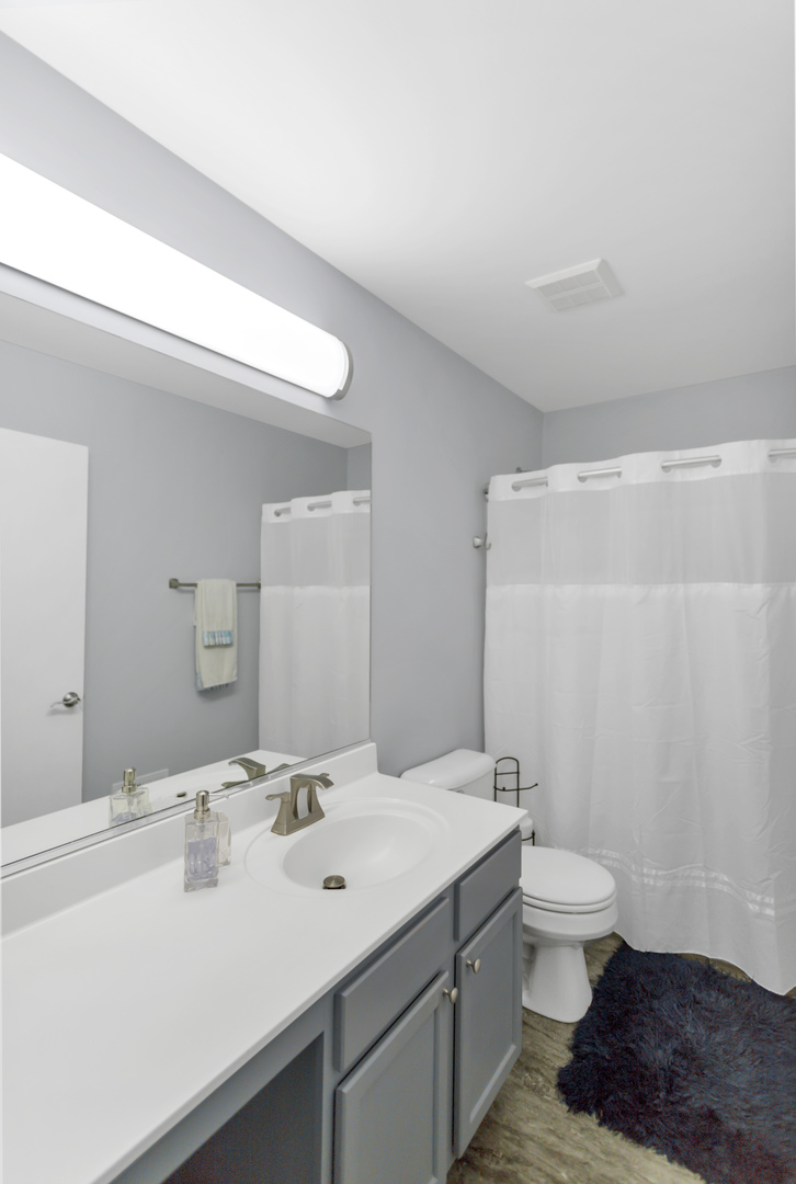 1420 Millbrook Drive Algonquin, IL 60102 - Photo 17 of 28 a bathroom with a double vanity sink toilet and a mirror